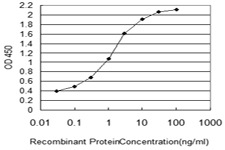 NUP133 Antibody - Detection limit for recombinant GST tagged NUP133 is 0.03 ng/ml as a capture antibody.