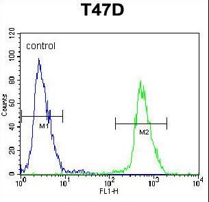 NUP210 / gp210 Antibody - NUP210 Antibody flow cytometry of T47D cells (right histogram) compared to a negative control cell (left histogram). FITC-conjugated goat-anti-rabbit secondary antibodies were used for the analysis.