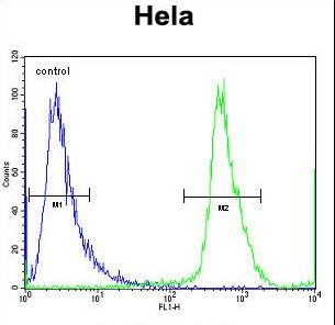 NUP35 / NUP53 Antibody - NUP35 Antibody flow cytometry of HeLa cells (right histogram) compared to a negative control cell (left histogram). FITC-conjugated goat-anti-rabbit secondary antibodies were used for the analysis.