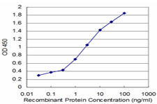 NUPL1 Antibody - Detection limit for recombinant GST tagged NUPL1 is approximately 0.03 ng/ml as a capture antibody.