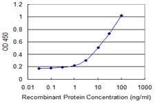 NXF3 Antibody - Detection limit for recombinant GST tagged NXF3 is 0.3 ng/ml as a capture antibody.