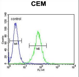 NXPH4 Antibody - NXPH4 Antibody flow cytometry of CEM cells (right histogram) compared to a negative control cell (left histogram). FITC-conjugated goat-anti-rabbit secondary antibodies were used for the analysis.