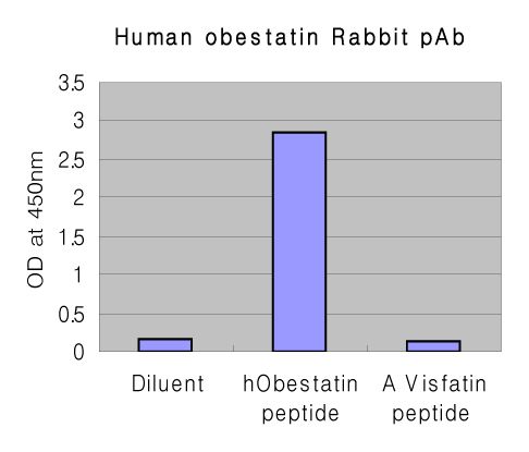 Obestatin Antibody - ELISA (indirect: 1:20000.): Analysis of production of anti-Obestatin (human), pAb after peptide immunization.