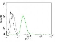ODC1 / Ornithine Decarboxylase Antibody - Flow analysis of permeabilized PC3 cells using ODC antibody.  This image was taken for the unmodified form of this product. Other forms have not been tested.