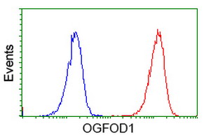 OGFOD1 Antibody - Flow cytometry of Jurkat cells, using anti-OGFOD1 antibody (Red), compared to a nonspecific negative control antibody (Blue).