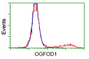 OGFOD1 Antibody - HEK293T cells transfected with either overexpress plasmid (Red) or empty vector control plasmid (Blue) were immunostained by anti-OGFOD1 antibody, and then analyzed by flow cytometry.
