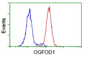 OGFOD1 Antibody - Flow cytometry of HeLa cells, using anti-OGFOD1 antibody (Red), compared to a nonspecific negative control antibody (Blue).