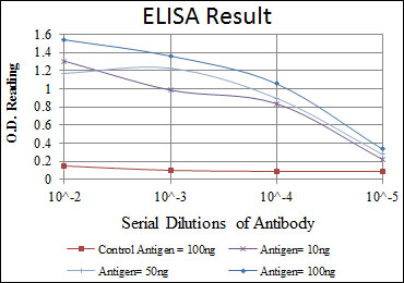 OLIG2 Antibody - Red: Control Antigen (100ng); Purple: Antigen (10ng); Green: Antigen (50ng); Blue: Antigen (100ng);