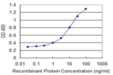 OMP Antibody - Detection limit for recombinant GST tagged OMP is 0.3 ng/ml as a capture antibody.