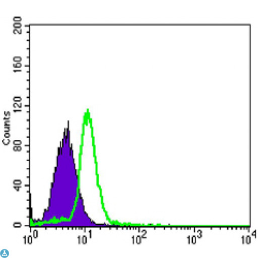 OPG / Osteoprotegerin Antibody - Flow cytometric (FCM) analysis of HL-60 cells using OPG Monoclonal Antibody (green) and negative control (purple).