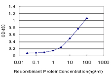 OPHN1 Antibody - Detection limit for recombinant GST tagged OPHN1 is approximately 0.3 ng/ml as a capture antibody.