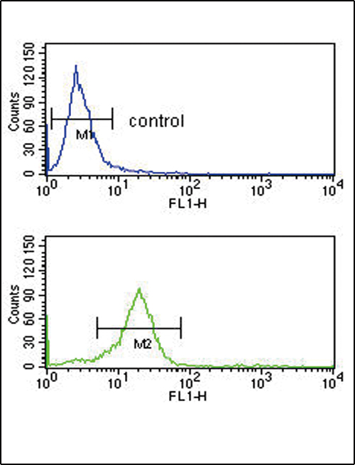 OPRM1 / Mu Opioid Receptor Antibody - OPRM1 Antibody flow cytometry of K562 cells (bottom histogram) compared to a negative control cell (top histogram). FITC-conjugated goat-anti-rabbit secondary antibodies were used for the analysis.
