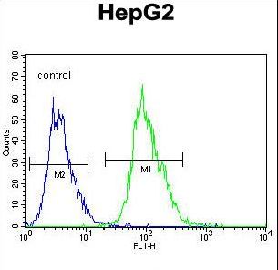 OR4K5 Antibody - OR4K5 Antibody flow cytometry of HepG2 cells (right histogram) compared to a negative control cell (left histogram). FITC-conjugated goat-anti-rabbit secondary antibodies were used for the analysis.