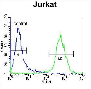 OR4N4 Antibody - OR4N4 Antibody flow cytometry of Jurkat cells (right histogram) compared to a negative control cell (left histogram). FITC-conjugated donkey-anti-rabbit secondary antibodies were used for the analysis.