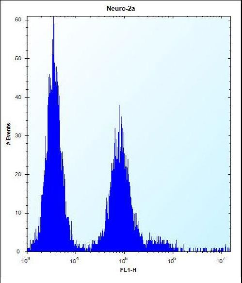 OR9Q1 Antibody - OR9Q1 Antibody flow cytometry of Neuro-2a cells (right histogram) compared to a negative control cell (left histogram). FITC-conjugated donkey-anti-rabbit secondary antibodies were used for the analysis.