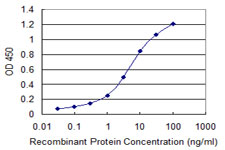 ORC3L / ORC3 Antibody - Detection limit for recombinant GST tagged ORC3L is 0.03 ng/ml as a capture antibody.