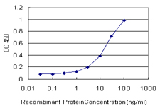 ORC4L / ORC4 Antibody - Detection limit for recombinant GST tagged ORC4L is approximately 1 ng/ml as a capture antibody.