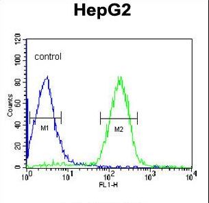 ORM1 / Orosomucoid Antibody - ORM1 Antibody flow cytometry of HepG2 cells (right histogram) compared to a negative control cell (left histogram). FITC-conjugated goat-anti-rabbit secondary antibodies were used for the analysis.