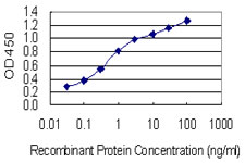 OSBP Antibody - Detection limit for recombinant GST tagged OSBP is 0.03 ng/ml as a capture antibody.