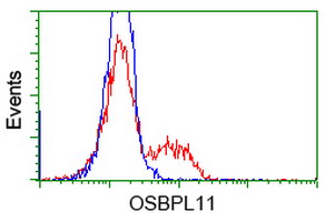 OSBPL11 Antibody - HEK293T cells transfected with either overexpress plasmid (Red) or empty vector control plasmid (Blue) were immunostained by anti-OSBPL11 antibody, and then analyzed by flow cytometry.