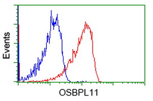 OSBPL11 Antibody - Flow cytometry of Jurkat cells, using anti-OSBPL11 antibody, (Red), compared to a nonspecific negative control antibody, (Blue).