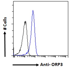 OSBPL3 Antibody - Goat Anti-ORP3 Antibody Flow cytometric analysis of paraformaldehyde fixed A431 cells (blue line), permeabilized with 0.5% Triton. Primary incubation 1hr (10ug/ml) followed by Alexa Fluor 488 secondary antibody (1ug/ml). IgG control: Unimmunized goat IgG (black line) followed by Alexa Fluor 488 secondary antibody.