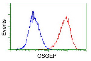 OSGEP Antibody - Flow cytometry of HeLa cells, using anti-OSGEP antibody (Red), compared to a nonspecific negative control antibody (Blue).