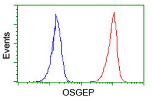 OSGEP Antibody - Flow cytometry of Jurkat cells, using anti-OSGEP antibody (Red), compared to a nonspecific negative control antibody (Blue).
