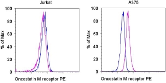 OSMR / IL-31R-Beta Antibody - Staining of the Jurkat (left) and A375 (right) cell lines with PE Mouse IgG1, K isotype control (blue histogram) or PE Anti-human oncostatin M receptor (OSMR) (purple histogram). Total viable cells were used for analysis. This image was taken for the unconjugated form of this product. Other forms have not been tested.