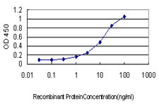 Osteocalcin Antibody - Detection limit for recombinant GST tagged BGLAP is approximately 0.3 ng/ml as a capture antibody.