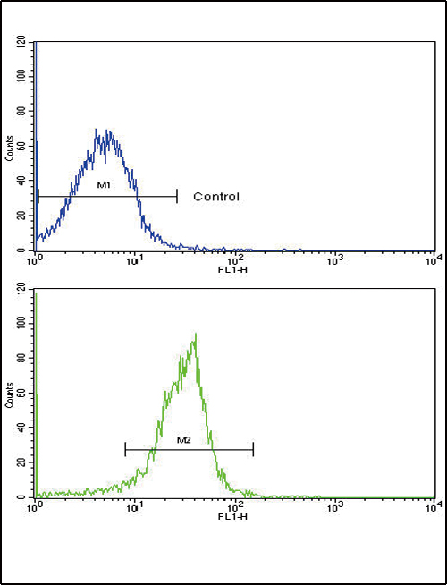 Osteonectin / SPARC Antibody - Flow cytometric of widr cells using SPARC Antibody (bottom histogram) compared to a negative control cell (top histogram). FITC-conjugated goat-anti-rabbit secondary antibodies were used for the analysis.