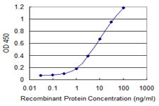 OTOP2 Antibody - Detection limit for recombinant GST tagged OTOP2 is 0.1 ng/ml as a capture antibody.