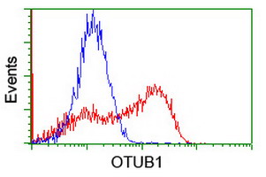 OTUB1 / OTU1 Antibody - HEK293T cells transfected with either overexpress plasmid (Red) or empty vector control plasmid (Blue) were immunostained by anti-OTUB1 antibody, and then analyzed by flow cytometry.