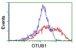 OTUB1 / OTU1 Antibody - HEK293T cells transfected with either overexpress plasmid (Red) or empty vector control plasmid (Blue) were immunostained by anti-OTUB1 antibody, and then analyzed by flow cytometry.