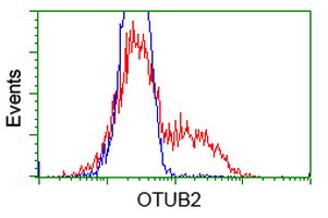 OTUB2 Antibody - HEK293T cells transfected with either overexpress plasmid (Red) or empty vector control plasmid (Blue) were immunostained by anti-OTUB2 antibody, and then analyzed by flow cytometry.