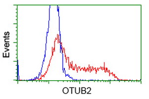 OTUB2 Antibody - HEK293T cells transfected with either overexpress plasmid (Red) or empty vector control plasmid (Blue) were immunostained by anti-OTUB2 antibody, and then analyzed by flow cytometry.
