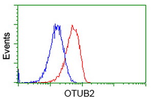 OTUB2 Antibody - Flow cytometric Analysis of Hela cells, using anti-OTUB2 antibody, (Red), compared to a nonspecific negative control antibody, (Blue).