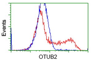 OTUB2 Antibody - HEK293T cells transfected with either overexpress plasmid (Red) or empty vector control plasmid (Blue) were immunostained by anti-OTUB2 antibody, and then analyzed by flow cytometry.