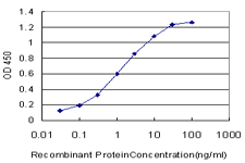 OTX1 Antibody - Detection limit for recombinant GST tagged OTX1 is approximately 0.03 ng/ml as a capture antibody.