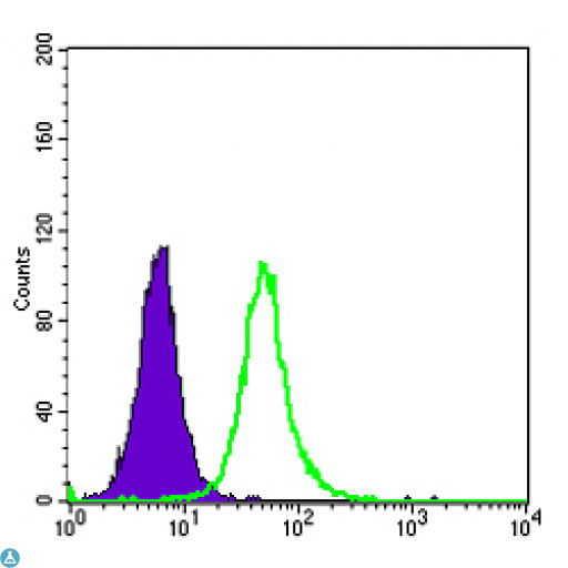 OTX2 Antibody - Flow cytometric (FCM) analysis of HepG2 cells using OTX2 Monoclonal Antibody (green) and negative control (purple).