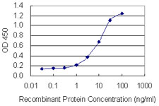 OVGP1 / Oviductin Antibody - Detection limit for recombinant GST tagged OVGP1 is 0.3 ng/ml as a capture antibody.