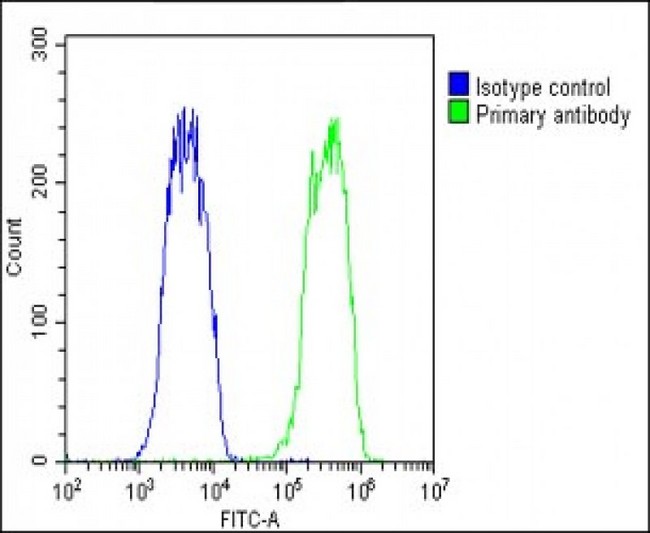 OVGP1 / Oviductin Antibody - Overlay histogram showing Hela cells stained with OVGP1 Antibody (N-Term) (green line). The cells were fixed with 2% paraformaldehyde (10 min) and then permeabilized with 90% methanol for 10 min. The cells were then icubated in 2% bovine serum albumin to block non-specific protein-protein interactions followed by the antibody (OVGP1 Antibody (N-Term), 1:25 dilution) for 60 min at 37°C. The secondary antibody used was Goat-Anti-Rabbit IgG, DyLight® 488 Conjugated Highly Cross-Adsorbed (1583138) at 1/200 dilution for 40 min at 37°C. Isotype control antibody (blue line) was rabbit IgG1 (1µg/1x10^6 cells) used under the same conditions. Acquisition of >10, 000 events was performed.