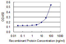 OVOL1 Antibody - Detection limit for recombinant GST tagged OVOL1 is 3 ng/ml as a capture antibody.