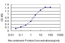 OX2R / Orexin Receptor 2 Antibody - Detection limit for recombinant GST tagged HCRTR2 is approximately 0.03 ng/ml as a capture antibody.