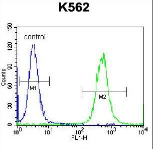 OXA1L / OXA1 Antibody - OXA1L Antibody flow cytometry of K562 cells (right histogram) compared to a negative control cell (left histogram). FITC-conjugated donkey-anti-rabbit secondary antibodies were used for the analysis.