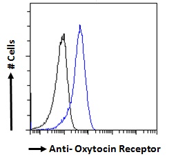 OXTR / Oxytocin Receptor Antibody - OXTR / Oxytocin Receptor antibody flow cytometric analysis of paraformaldehyde fixed Jurkat cells (blue line), permeabilized with 0.5% Triton. Primary incubation 1hr (10ug/ml) followed by Alexa Fluor 488 secondary antibody (1ug/ml). IgG control: Unimmunized goat IgG (black line) followed by Alexa Fluor 488 secondary antibody.