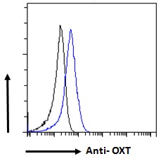 Oxytocin Antibody - Oxytocin antibody flow cytometric analysis of paraformaldehyde fixed NIH3T3 cells (blue line), permeabilized with 0.5% Triton. Primary incubation 1hr (10ug/ml) followed by Alexa Fluor 488 secondary antibody (1ug/ml). IgG control: Unimmunized goat IgG (black line) followed by Alexa Fluor 488 secondary antibody.