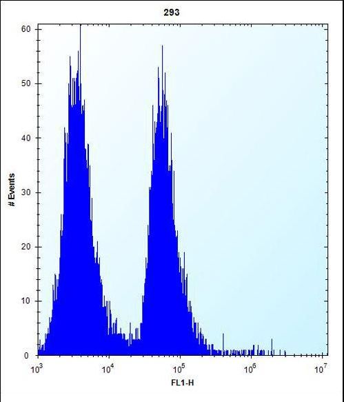p14ARF / CDKN2A Antibody - MLM Antibody flow cytometry of 293 cells (right histogram) compared to a negative control cell (left histogram). FITC-conjugated goat-anti-rabbit secondary antibodies were used for the analysis.