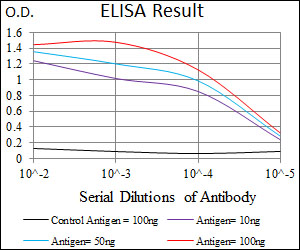 p16INK4a / CDKN2A Antibody - Red: Control Antigen (100ng); Purple: Antigen (10ng); Green: Antigen (50ng); Blue: Antigen (100ng);