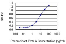 p16INK4a / CDKN2A Antibody - Detection limit for recombinant GST tagged CDKN2A is 0.1 ng/ml as a capture antibody.